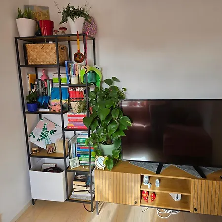 Cosy 릴레함메르