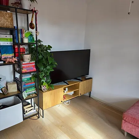 아파트 Cosy